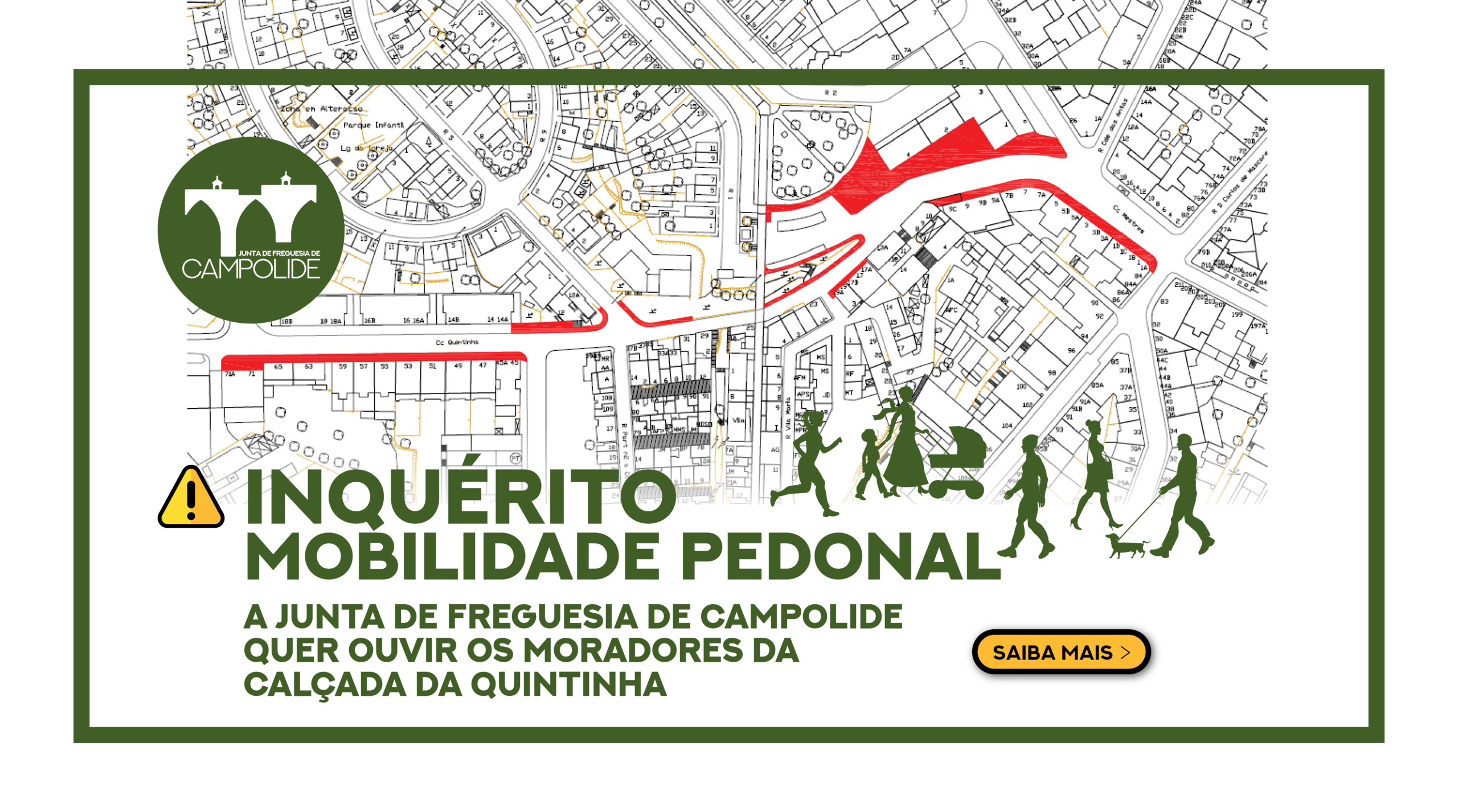 Inquérito Mobilidade Pedonal